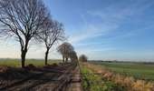 Trail Walking Les Bons Villers - Mellet - Saint-Amand - Photo 3