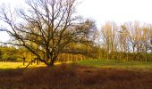 Randonnée A pied Arnhem - NS-wandeling Warnsborn - Photo 1