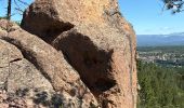 Tour  Puget-sur-Argens - Lieutenante - Pierre du Coucou / bis - Photo 3