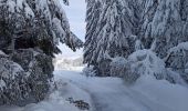 Randonnée Raquettes à neige La Pesse - La Pesse Embossieux /Le Lac de l'Embouteilleux  - Photo 9
