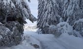 Tour Schneeschuhwandern La Pesse - La Pesse Embossieux /Le Lac de l'Embouteilleux  - Photo 9