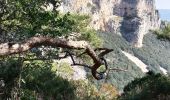 Trail Walking Saint-Guilhem-le-Désert - Saint guilhem manu - Photo 4