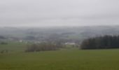 Tocht Stappen Bastenaken - Marche ADEPS à  Bras-Bastogne.10 km essentiellement  boisé. Très beau parcours. Balisage parfait. - Photo 10