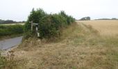 Tocht Te voet South Hams - Avon Estuary Walk - Photo 9