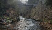 Trail Walking Thiéfosse - gorges de Crosery  - Photo 3