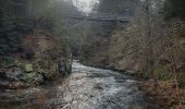 Tour Wandern Thiéfosse - gorges de Crosery  - Photo 3