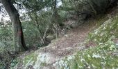 Trail Walking Bastia - Autour de Cardo  - Photo 6