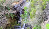Trail Walking Bormes-les-Mimosas - SityTrail - 3043274 - bargeanxchartreuse-verne - Photo 20
