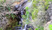 Percorso Marcia Bormes-les-Mimosas - SityTrail - 3043274 - bargeanxchartreuse-verne - Photo 20
