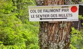 Tocht Stappen Xonrupt-Longemer - 2024 RA Vosges J1 Rando âne sur les crêtes - Photo 10