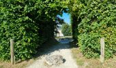 Excursión Senderismo Amboise - Amboise - À la découverte des trésors cachés - Photo 18