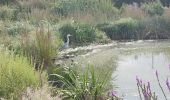 Tocht Stappen Igny - Entre jardins et forets - Photo 5