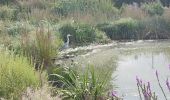 Percorso Marcia Igny - Entre jardins et forets - Photo 5