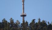 Trail On foot Wernersberg - Wernersberg 31 - Photo 3