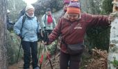 Trail Walking Fontainebleau - Belle-croix 27 janvier 2023  - Photo 6