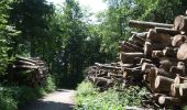 Percorso A piedi Stallikon - Näferhüser - Müliberg - Photo 4