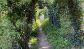 Trail Walking Braives - Fallais - Fumal - Huccorgne - Photo 2