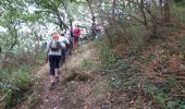Randonnée Marche Paimpol - kergrist Le Trieux 7 septembre 2020 - Photo 8