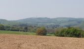 Tocht Stappen Ferrières - Sy 030522 - Photo 7