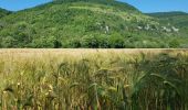 Excursión Bici de montaña Échevannes - le long de la Loue et au dessus - Photo 2