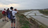 Tocht Stappen L'Épine - mer marais  - Photo 2