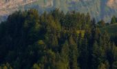 Tocht Te voet Entlebuch - Entlebuch - Finsterwald - Photo 10