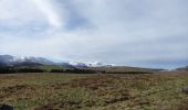 Tour Wandern Perpezat - Le Puy Gros 1485m 3.5.24 - Photo 3