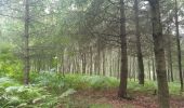 Tour Wandern Esneux - tilf . ferme de femelette.  roche aux faucons.  avister. tilf  - Photo 10