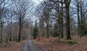 Trail Walking Aywaille - sedoz - vert-buisson (via ninglinspo) - porallée - vieux chera - sedoz - Photo 3