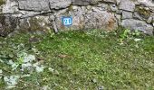 Trail Walking Cauterets - Sentier du Lisey - Photo 1