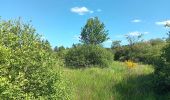 Tour Wandern Vielsalm - fraiture - plateau des tailles  - Photo 16