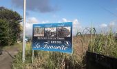 Tour Wandern Le Lamentin - École Gondeau A-fond cacao en boucle  - Photo 3