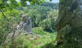 Randonnée Marche Ferrette - Ferrette château et grotte des nains - Photo 3