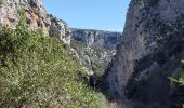 Excursión Senderismo La Palud-sur-Verdon - verdon - Photo 13