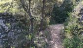 Trail Walking Saint-Bonnet-du-Gard - Pont du Gard  par St Bonnet - Photo 1