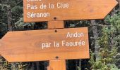 Tour Wandern Séranon - L' Audibergue  - Photo 2