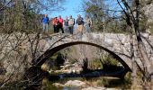 Percorso Marcia Tourves - SityTrail - Tourves- Les Sauts du Cabri - Photo 3