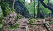 Excursión Senderismo Echternach - mullerthal moitié E1 - Photo 8