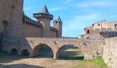 Trail Walking Carcassonne - carcassonne under the sun  - Photo 12