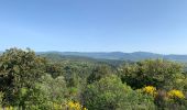 Tocht Stappen Clermont-l'Hérault - Oppidum de Clermont l’Hérault  - Photo 2