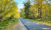 Randonnée Marche Compiègne - en forêt de Compiègne_43_le Petit Octogone et vers la Faisanderie - Photo 14