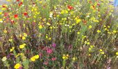 Trail Walking Noirmoutier-en-l'Île - Noirmoutier 12 juin 2019 - Photo 11