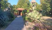 Trail Walking Saint-Cyprien - jardin des plantes de Saint cyprien  - Photo 12