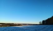 Trail Walking Sprimont - compagne de florzé dans la neige - Photo 6