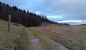 Tocht Stappen La Chapelle-en-Vercors - Serre Plumé  - Photo 2