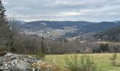Randonnée Marche Le Tholy - Sentier de la Roche Au Blaireau depuis le gîte  - Photo 10