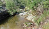 Trail Walking Roquebrune-sur-Argens - Pic Bourete - Photo 5