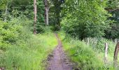 Trail Walking Theux - autour du Maquisart - Photo 4