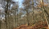 Trail Walking Recoules-d'Aubrac - Pont gourmier Recoules Nasbinals Le Bes - Photo 6
