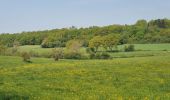 Tocht Stappen Ferrières - rando sy 3-05-2022 - Photo 11